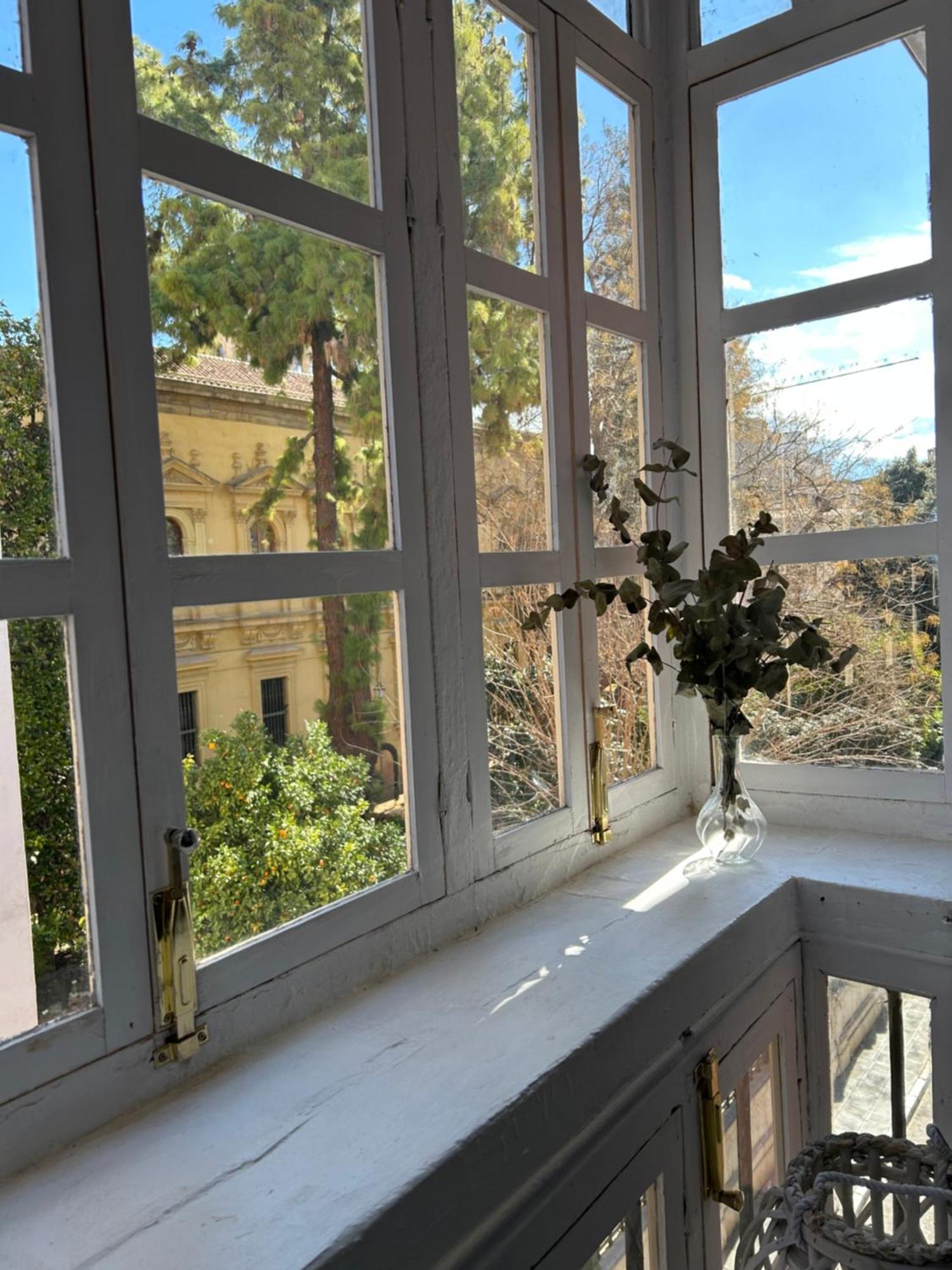 Apartamento Jardin Botanico Granada Eksteriør billede